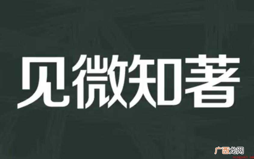 见微知著的近义词有哪些