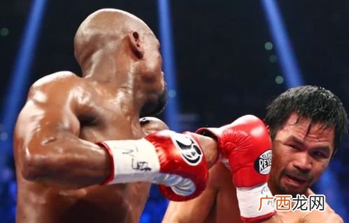 fight是什么意思,fight和struggle和strive的区别？
