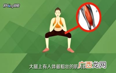 怎么训练弹跳力,弹跳力怎么训练？
