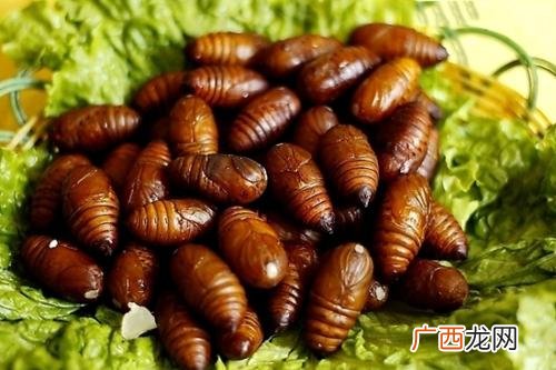 蚕蛹怎么吃,蚕蛹怎么吃法？
