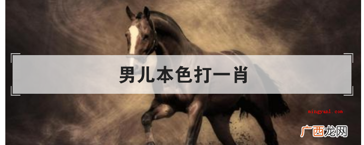 男儿本色打一肖