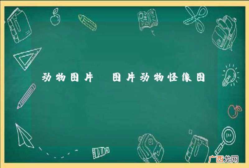 图片动物怪像图 动物图片
