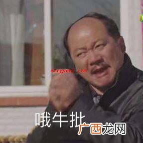 氮碘硫氢碘硫硼是什么梗？