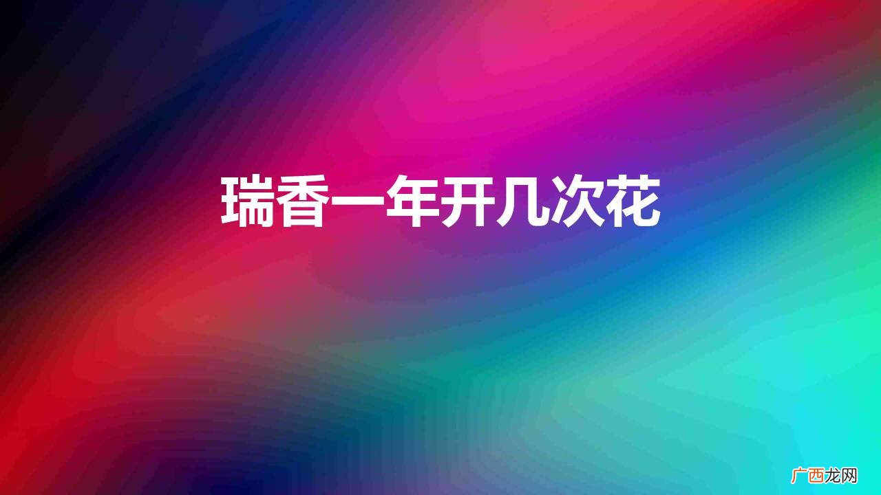 瑞香一年开几次花