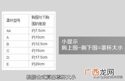 怎么看罩杯的大小,怎么分胸罩大小？