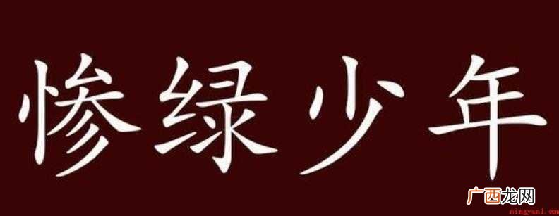 《惨绿少年》的成语故事是什么