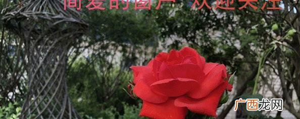 女人中的极致狠角色 真正厉害的女人都是外表柔弱