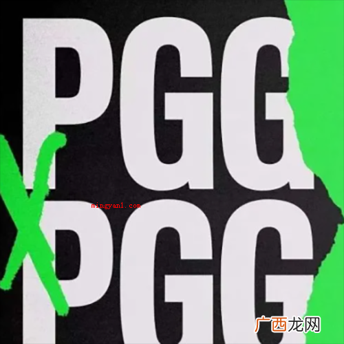 pgg战队是哪个国家的？