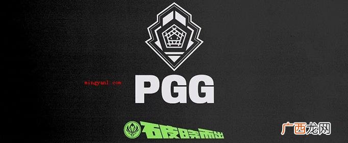 pgg战队是哪个国家的？