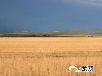 field是什么意思,请问area和field在抽象上的那个“领域”的意思有什么区别？