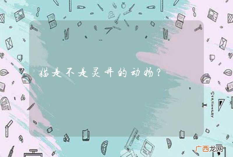 猫是不是灵异的动物？