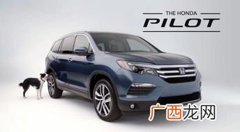 pilot什么意思,plane的职业名词？