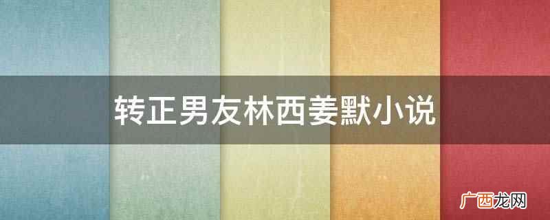 转正男友林西姜默小说是《冬暖》 转正男友林西姜默小说