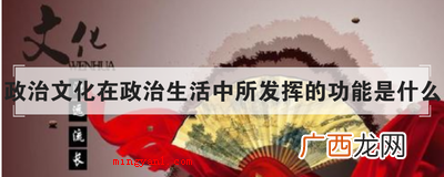 政治文化在政治生活中所发挥的功能是什么