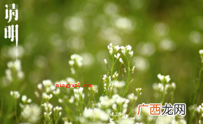 30首关于清明的古诗有哪些？