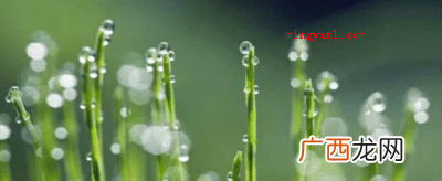 30首关于清明的古诗有哪些？