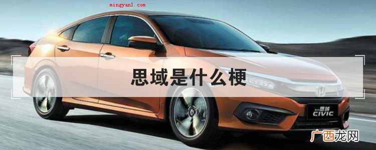 思域是什么梗