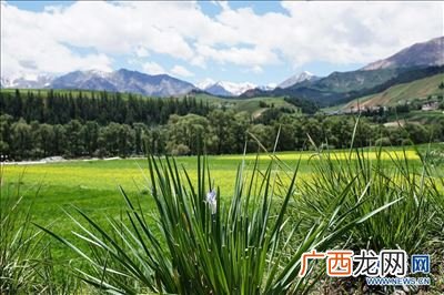 大通河发源地,庄浪河的源头?