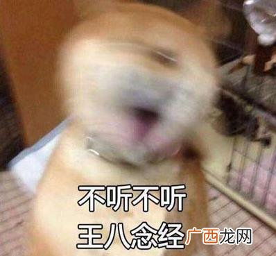 爱的自杀再问供养是什么意思？求bgm是什么敷衍回答爱的供养再问自杀