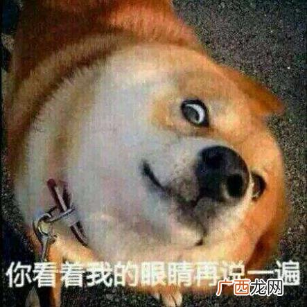 爱的自杀再问供养是什么意思？求bgm是什么敷衍回答爱的供养再问自杀