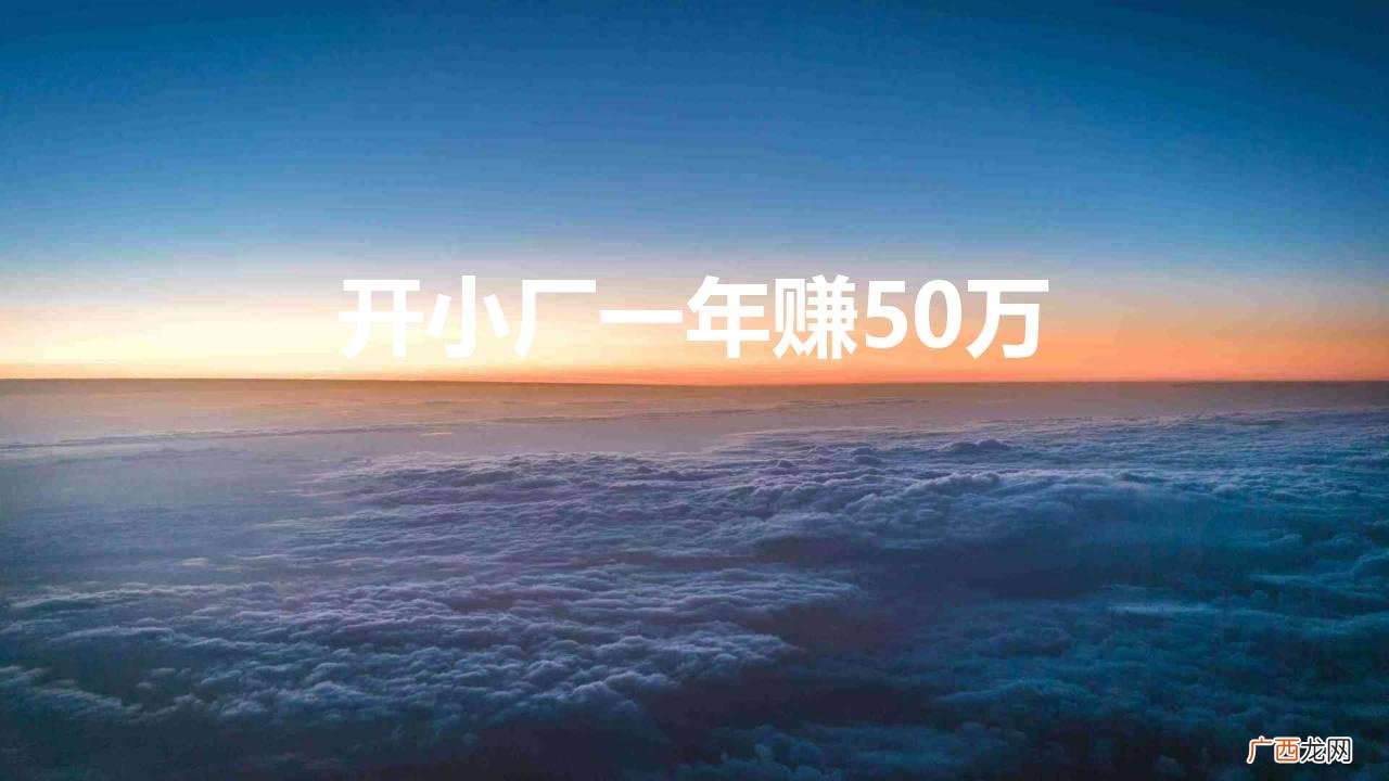 开小厂一年赚50万