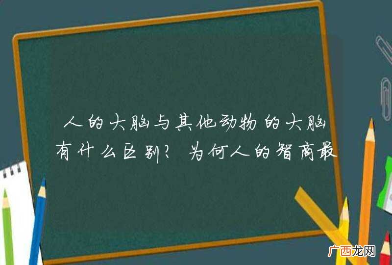 人的大脑与其他动物的大脑有什么区别？为何人的智商最高？