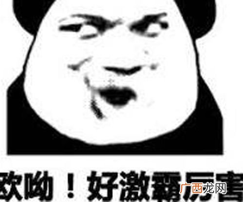 硬核是什么意思,什么是硬核解析？
