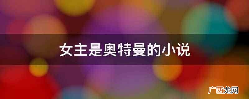 《赛罗奥特曼世界》小说介绍 女主是奥特曼的小说