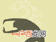 降龙十八掌是哪十八掌？