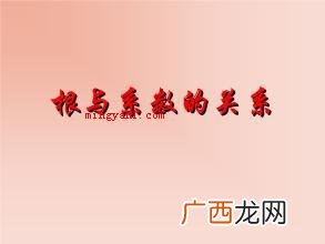 根与系数的关系是怎样的？
