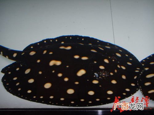 半套是什么意思,半套不锈钢安全阀是什么意思？