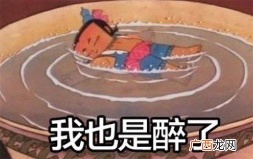 我也是醉了是什么意思什么梗 我真是醉了的含义