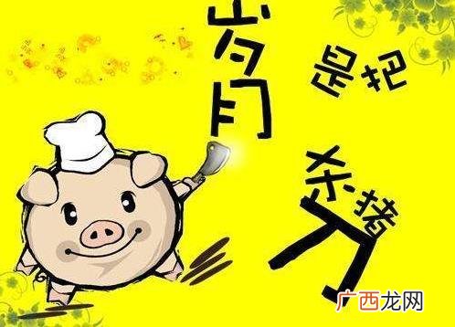 岁月是把杀猪刀是什么意思？岁月是把杀猪刀下一句/全句