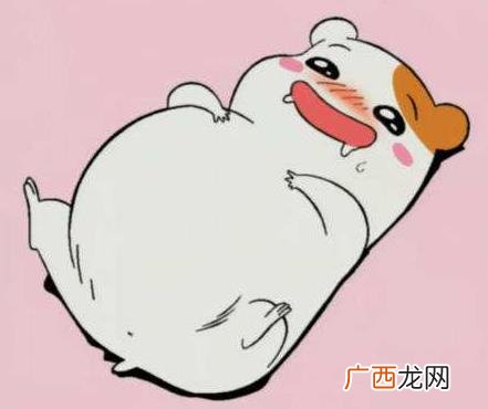 萌化是什么意思？日本动漫中的“萌” 系统萌化的相关解释