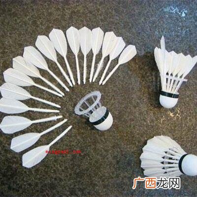 一支羽毛球上通常有几根羽毛？