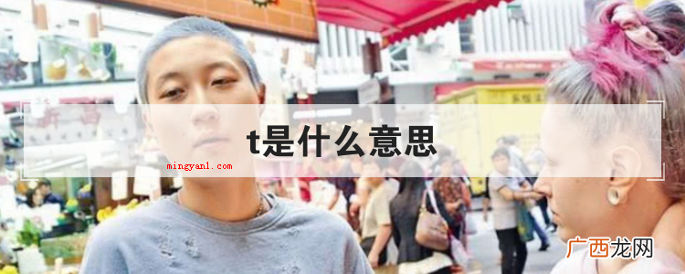 t是什么意思