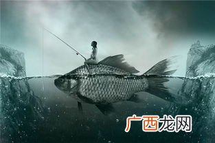 梦见钓到大鱼是什么意思,梦见别人钓了一条大鱼?