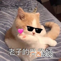 尾大不掉是什么意思,你还知道哪些动物尾巴的作用？