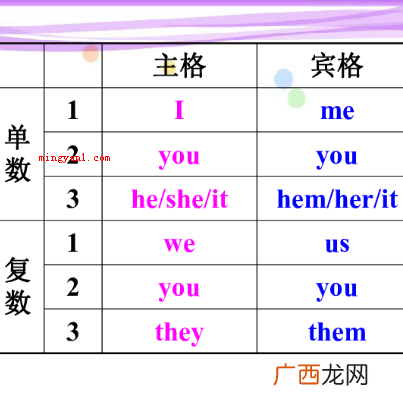 pron是什么词性？