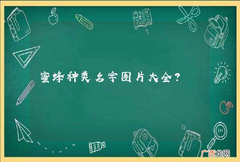 蜜蜂种类名字图片大全？