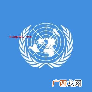 联合国的英文缩写是什么？