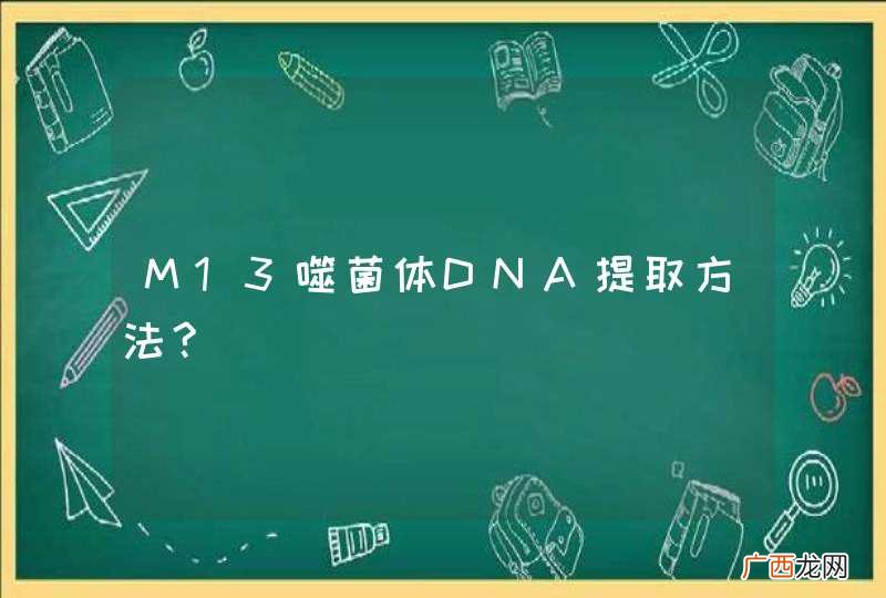 M13噬菌体DNA提取方法?