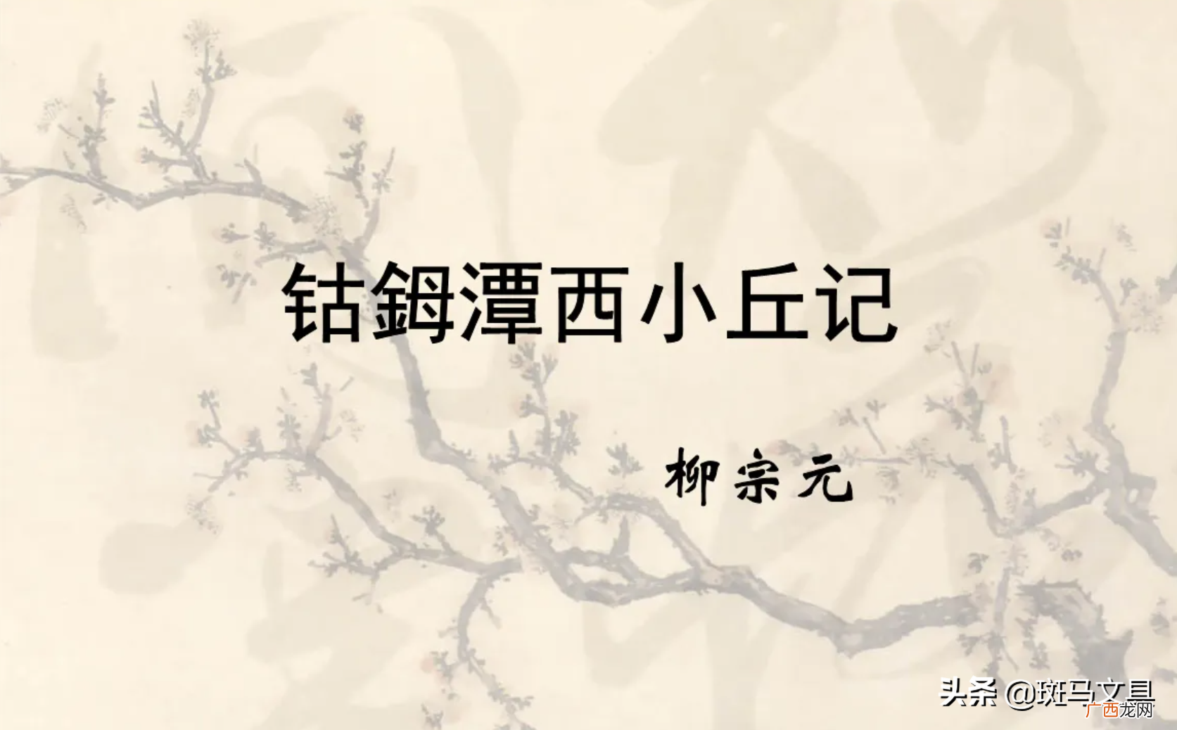 初中永州八记赏析 钴鉧潭记原文及翻译