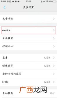 ice是什么意思,ice有什么特殊的含义吗？