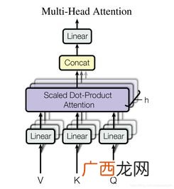 attention是什么意思,英文信件中，ATTN应该写在什么位置？