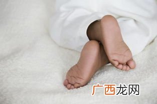 高足是什么意思,“高足”是指什么意思？