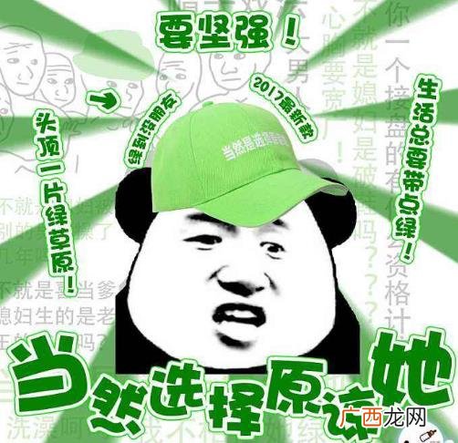 当然是选择原谅她是什么意思什么梗？当然是选择原谅她绿帽子表情包