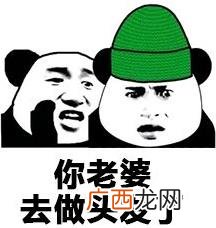 当然是选择原谅她是什么意思什么梗？当然是选择原谅她绿帽子表情包