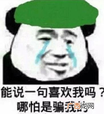 当然是选择原谅她是什么意思什么梗？当然是选择原谅她绿帽子表情包
