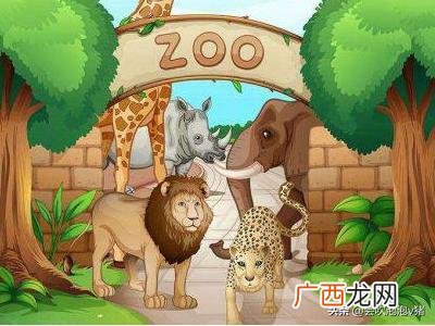 zoo是什么意思,zoo前面用at还是on？